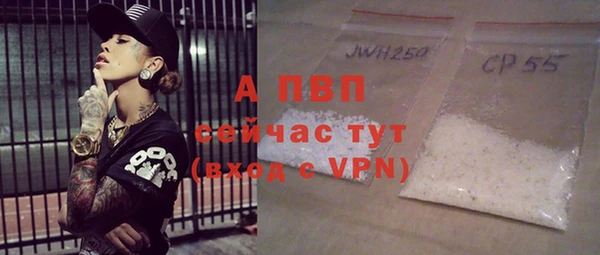 индика Зеленодольск