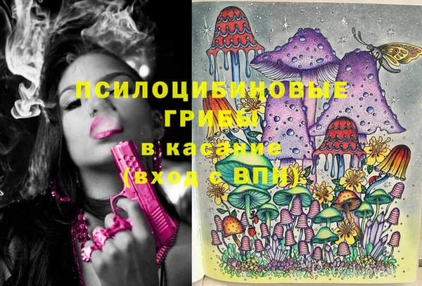 меф Заволжск
